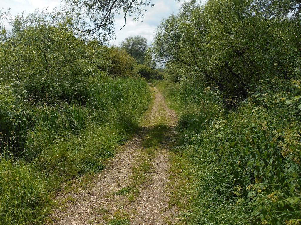 Shirley Apartments, Cozy Studio, Self Check In, 10 Min Drive To City Centre, Walking To Redbridge Train Station เซาธ์แธมป์ตัน ภายนอก รูปภาพ